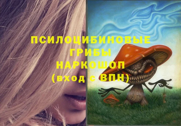 Альфа ПВП Абдулино