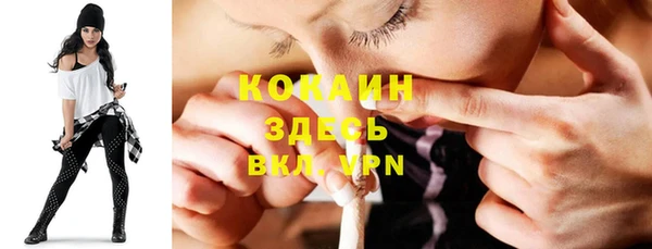дживик Абаза