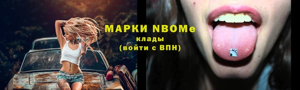 сатива Абинск