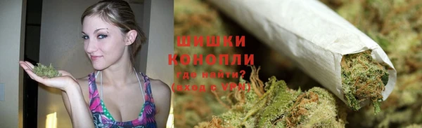 дживик Абаза