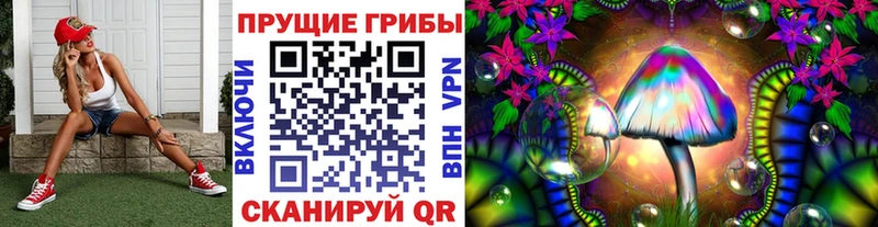 где продают   Усмань  Галлюциногенные грибы Psilocybine cubensis 